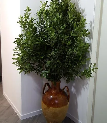 Dafne Centro 4* מרסאלה