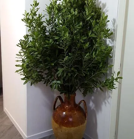 Dafne Centro 4* Marsala